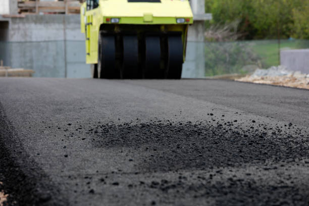 Best Driveway Pavers Near Me  in Wrangell, AK