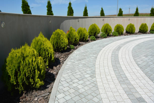 Best Local Driveway Pavers  in Wrangell, AK